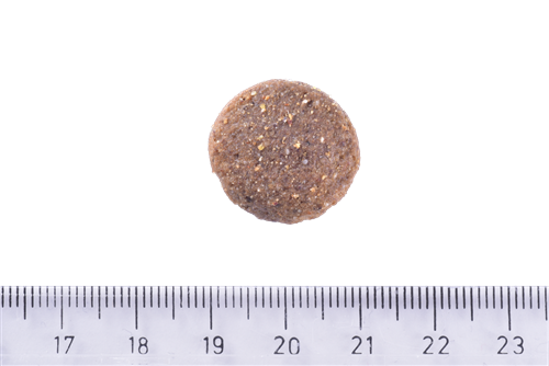 Brit Care Deri Ve Tüy Hassasiyeti Olan, Büyük Irk Yetişkin Köpekler İçin, Tahılsız, Somonlu Kuru Mama 12 kg