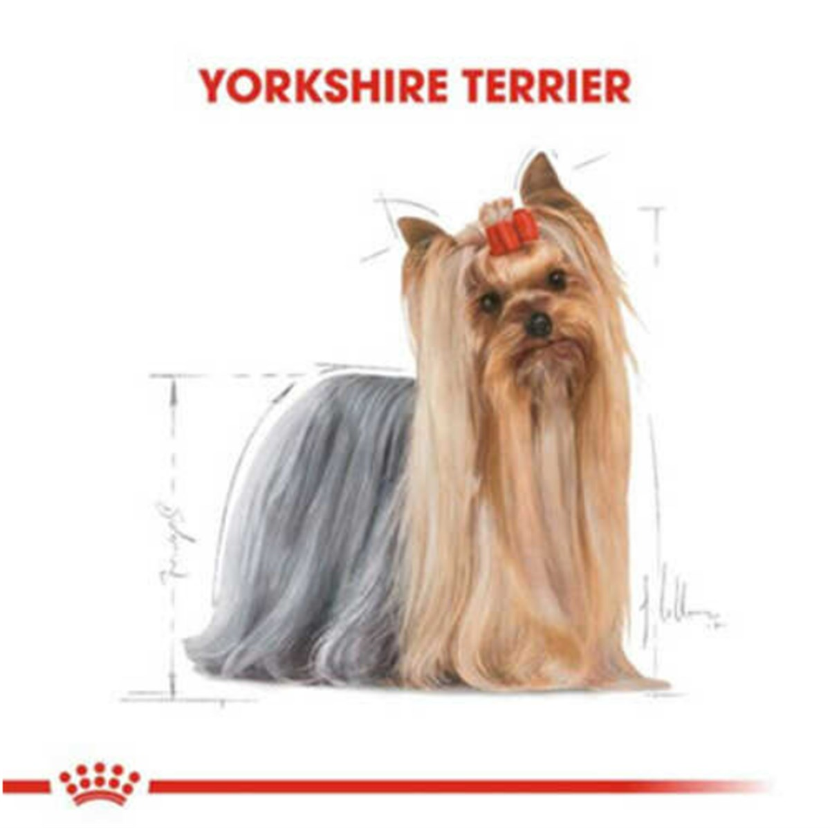 Royal Canin Yorkshire Terrier Yetişkin Köpek 1,5 Kg