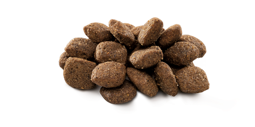 Brit Premium By Nature Hassas Sindirime Sahip Köpekler İçin, Kuzu Etli Kuru Mama 15 kg