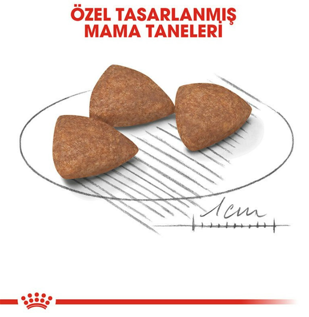 Royal Canin Mini İndoor Adult Köpek Maması 1,5 Kg