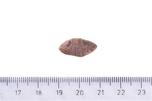 Brit Care Gıda İntoleransı Ve Deri Hassasiyet Problemi Olan Köpekler İçin, Larva Ve Balık Etli Kuru Mama 12 kg