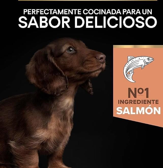 Pro Plan Small & Mini Somonlu Küçük Irk Köpek Maması 3 Kg