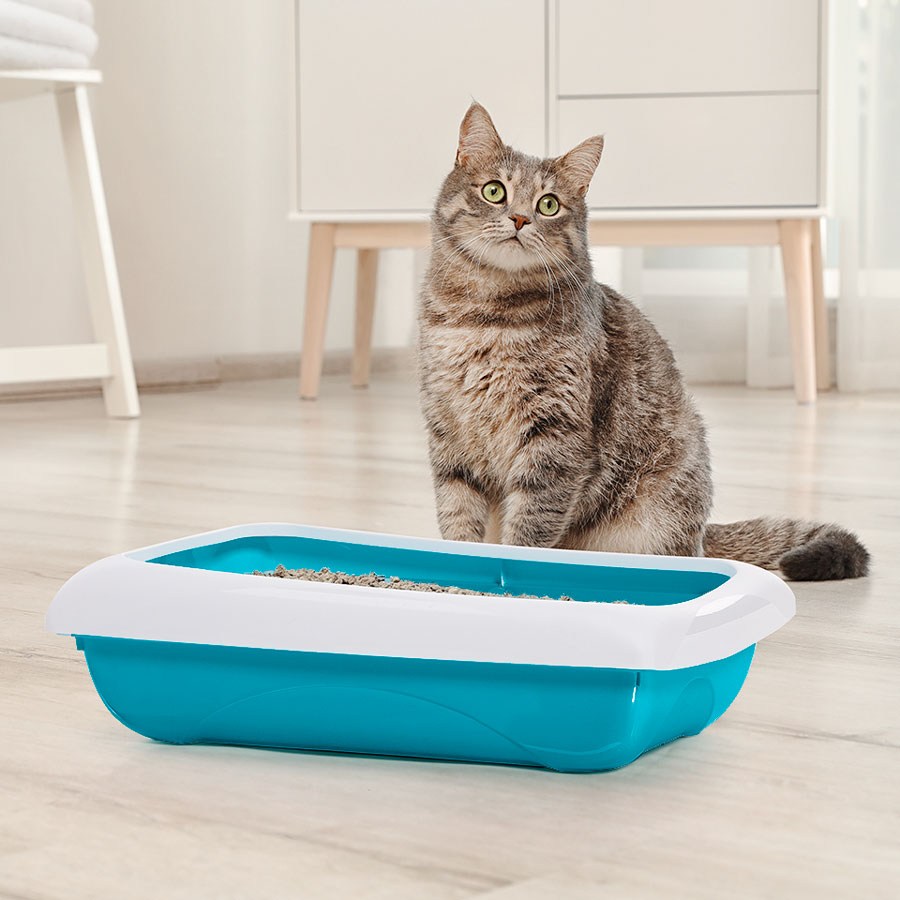 Imac Dodo' Kedi Tuvaleti 45,5x31x13,5cm