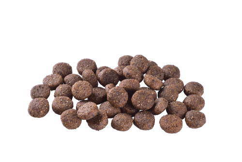 Brit Care Deri Ve Tüy Hassasiyeti Olan, Yetişkin Köpekler İçin, Tahılsız, Somonlu Kuru Mama 12 kg