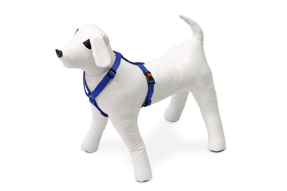 Karlıe Köpek Göğüs Tasması S Mavi 35-50x1,5