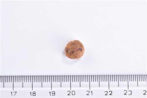 Brit Care Kısırlaştırılmış Kediler İçin, Tahılsız, Hipoalerjenik, Domuz Etli Kuru Mama 2 kg