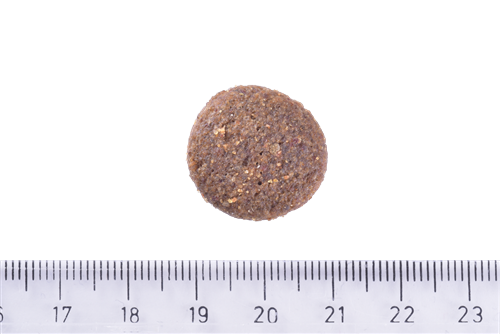 Brit Care Yetişkin Köpekler İçin, Tek Proteinli, Hipoalerjenik, Kuzu Etli Kuru Mama 12 kg