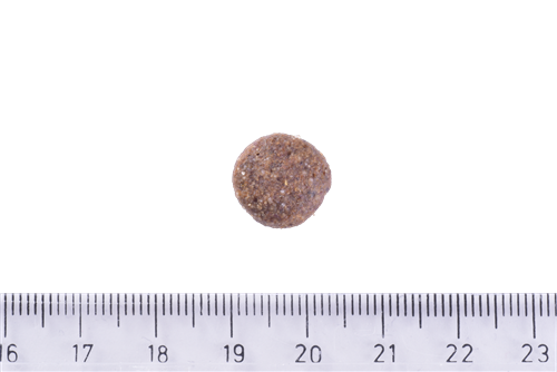 Brit Care Deri Ve Tüy Hassasiyeti Olan, Yetişkin Köpekler İçin, Tahılsız, Somonlu Kuru Mama 12 kg