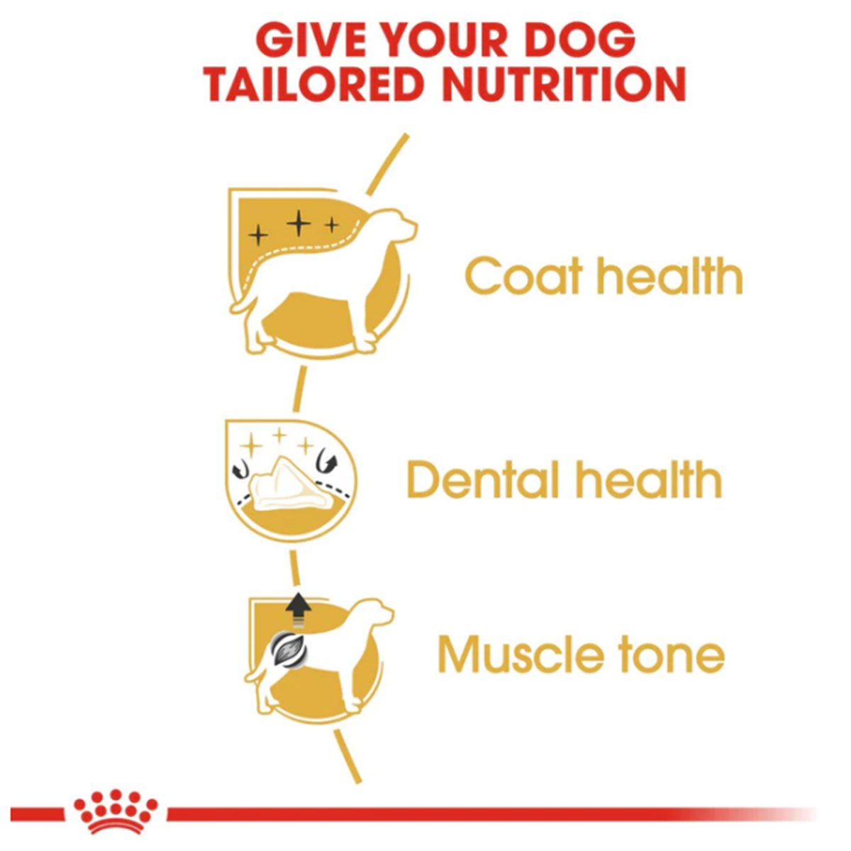 Royal Canin Poodle Puppy 3 Kg