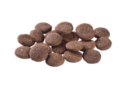 Brit Care Yetişkin Köpekler İçin, Tek Proteinli, Hipoalerjenik, Kuzu Etli Kuru Mama 12 kg