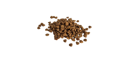 Bestpet Yetişkin Seçici Kediler İçin Tavuk Etli Kuru Mama 1 kg