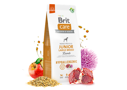 Brit Care Büyük Irk Genç Köpekler İçin, Tek Proteinli, Hipoalerjenik, Kuzu Etli Kuru Mama 12 kg