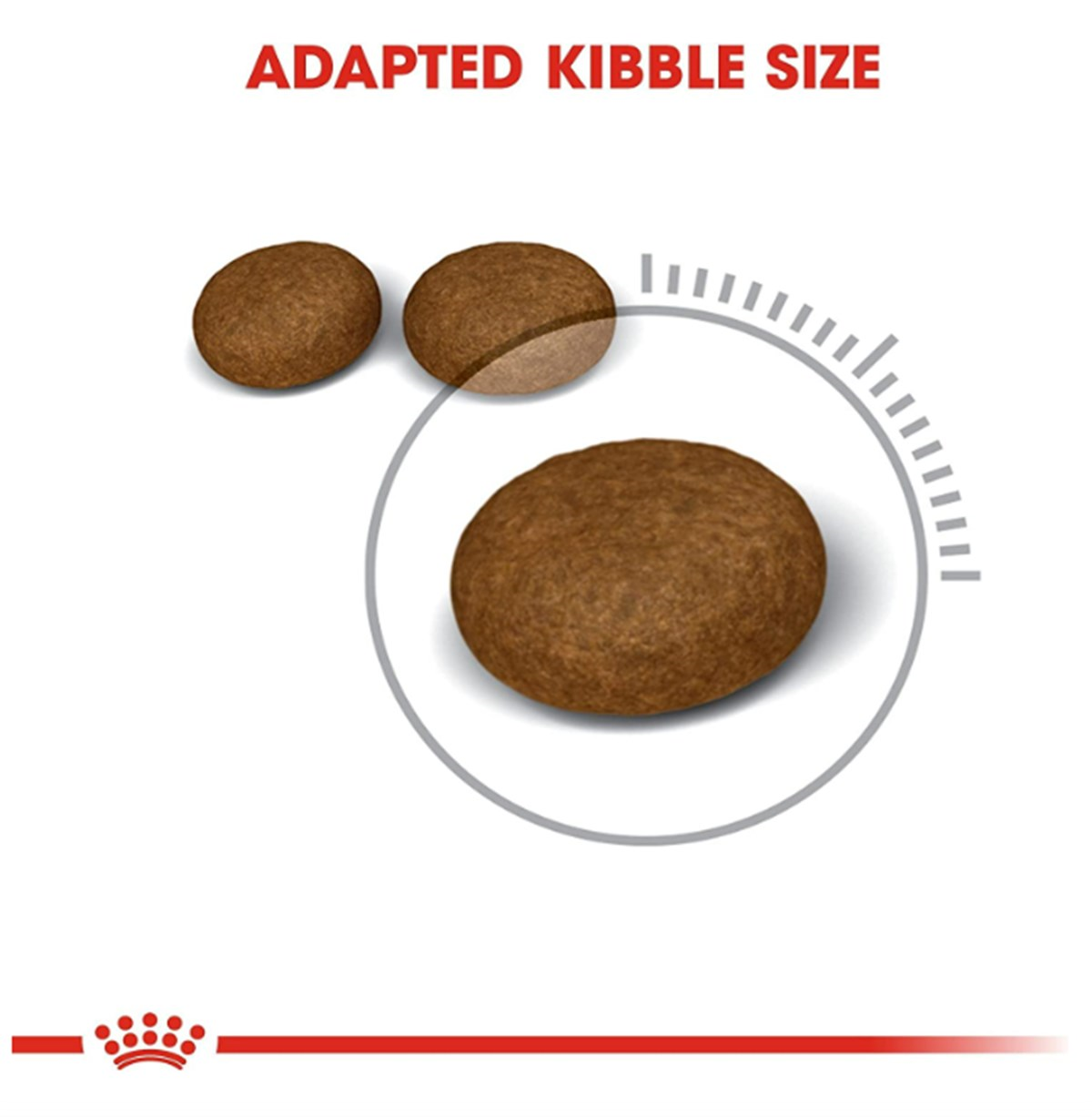 Royal Canin Hair Skin Hassas Tüy Sağlığı Kedi Maması 2 Kg