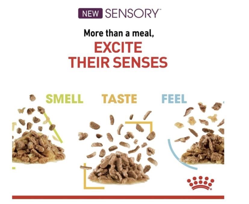 Royal Canin Sensory Smell Gravy Kedi Konservesi 12x85 gr