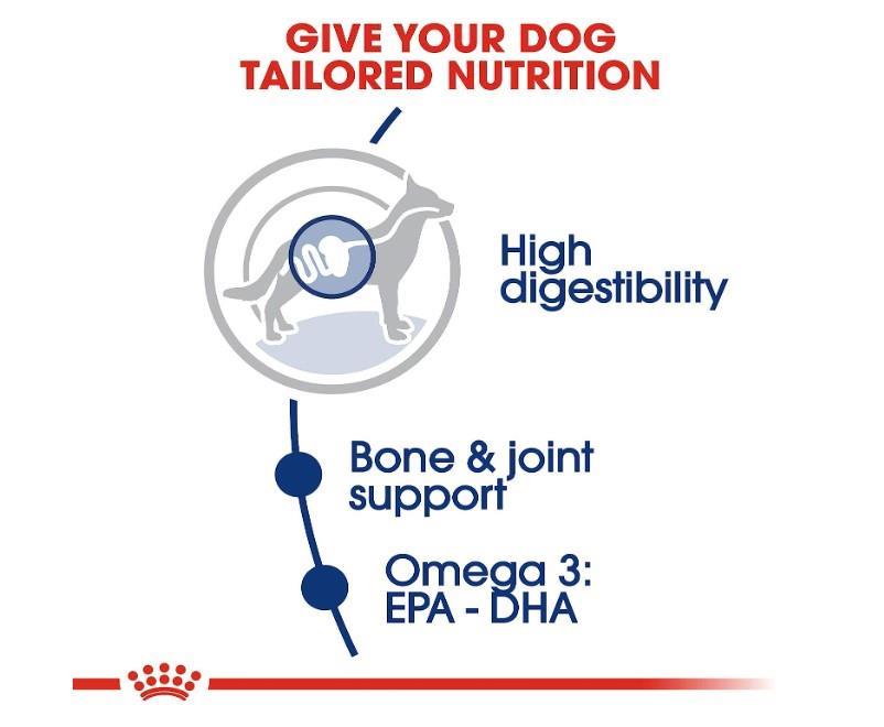 Royal Canin Maxi Adult Kuru Köpek Maması 15 Kg