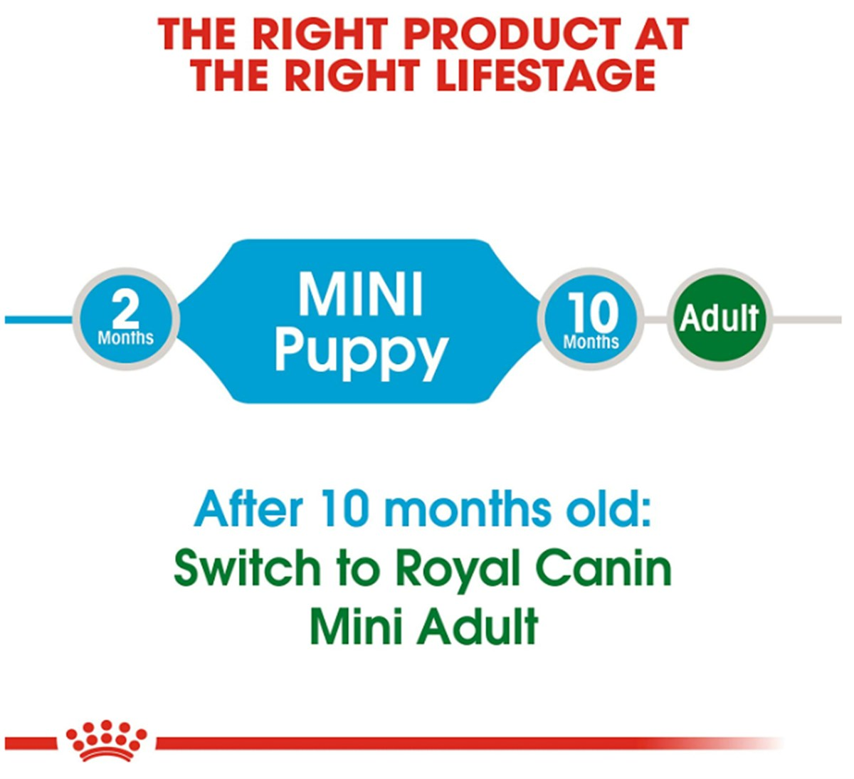 Royal Canin Mini Junior Küçük Irk Yavru Kuru Köpek Maması 2 Kg