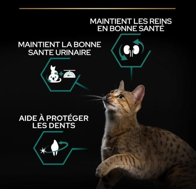 Pro Plan Kısırlaştırılmış Somonlu Yetişkin Kedi Maması 10 Kg