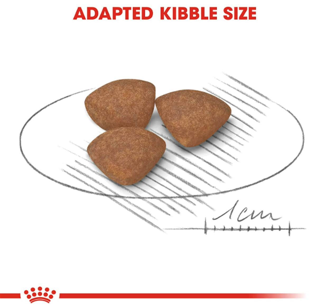 Royal Canin Mini Junior Küçük Irk Yavru Kuru Köpek Maması 2 Kg