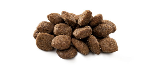 Brit Premium By Nature Hassas Sindirime Sahip Köpekler İçin, Kuzu Etli Kuru Mama 15 kg