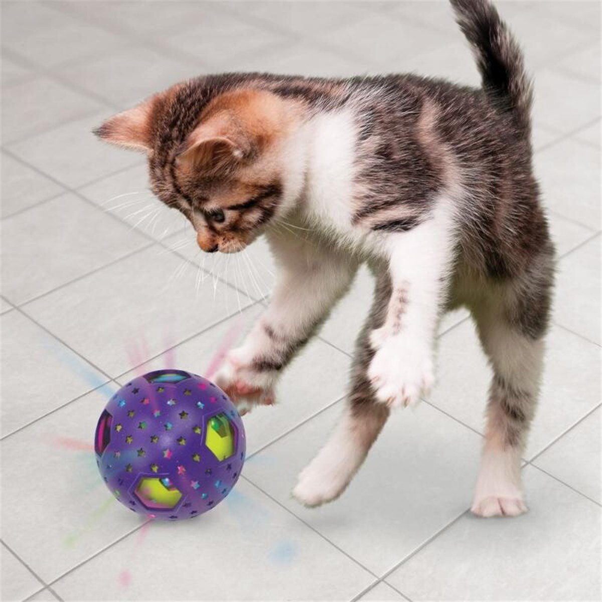 Kong BatABout Kediotlu Işıklı ve Hareketli Kedi Oyun Topu