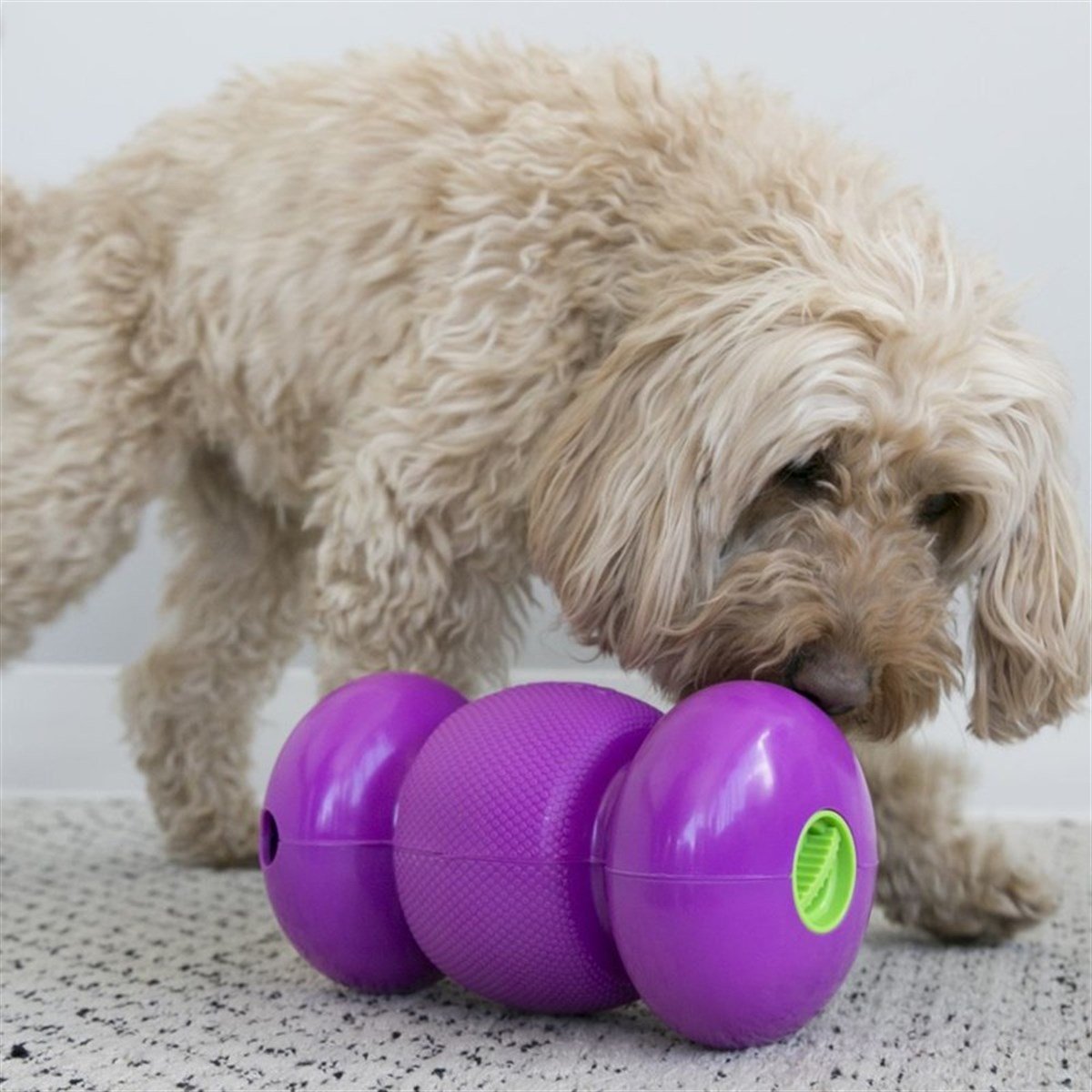 Kong Ödüllü Köpek Oyuncağı Replay S 17cm