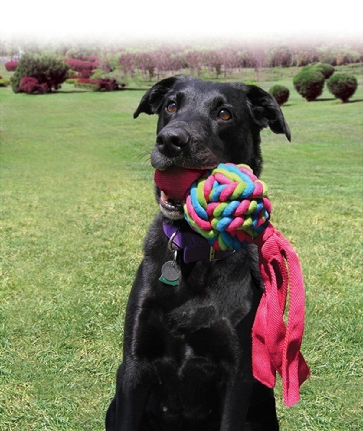 Kong Wubba Weaves Sesli Köpek Oyuncağı XL 43cm