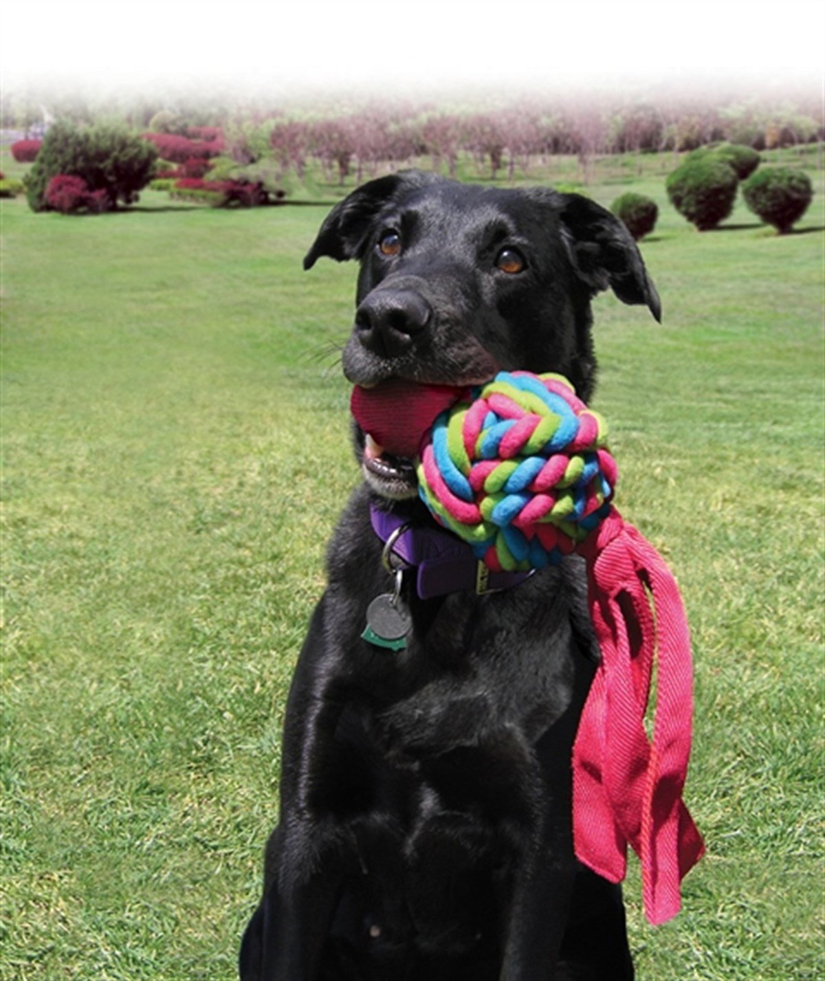 Kong Wubba Weaves Sesli Köpek Oyuncağı XL 43cm