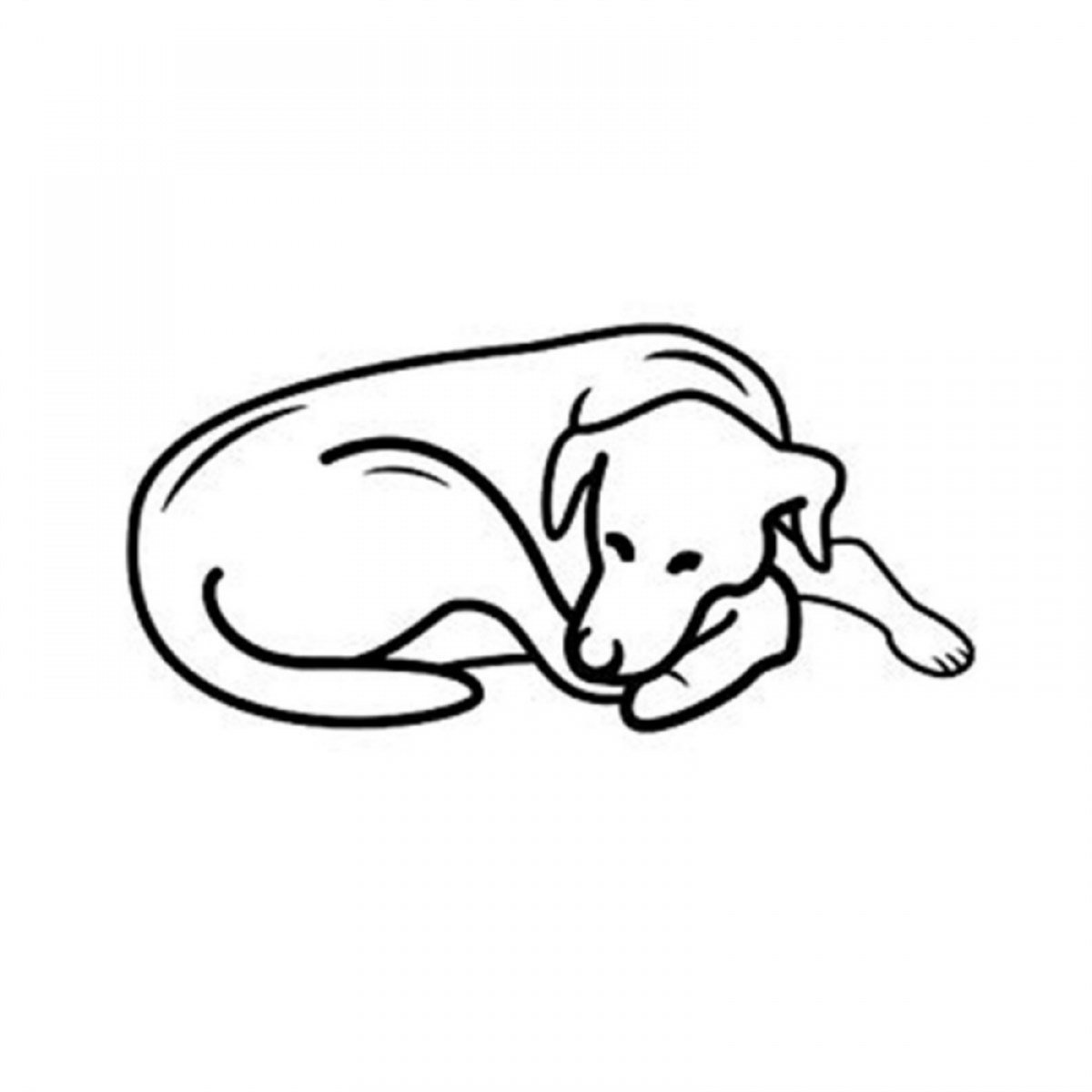 Pet Comfort Alpha Mirandus 17 Kedi ve Köpek Yatağı 50x60cm