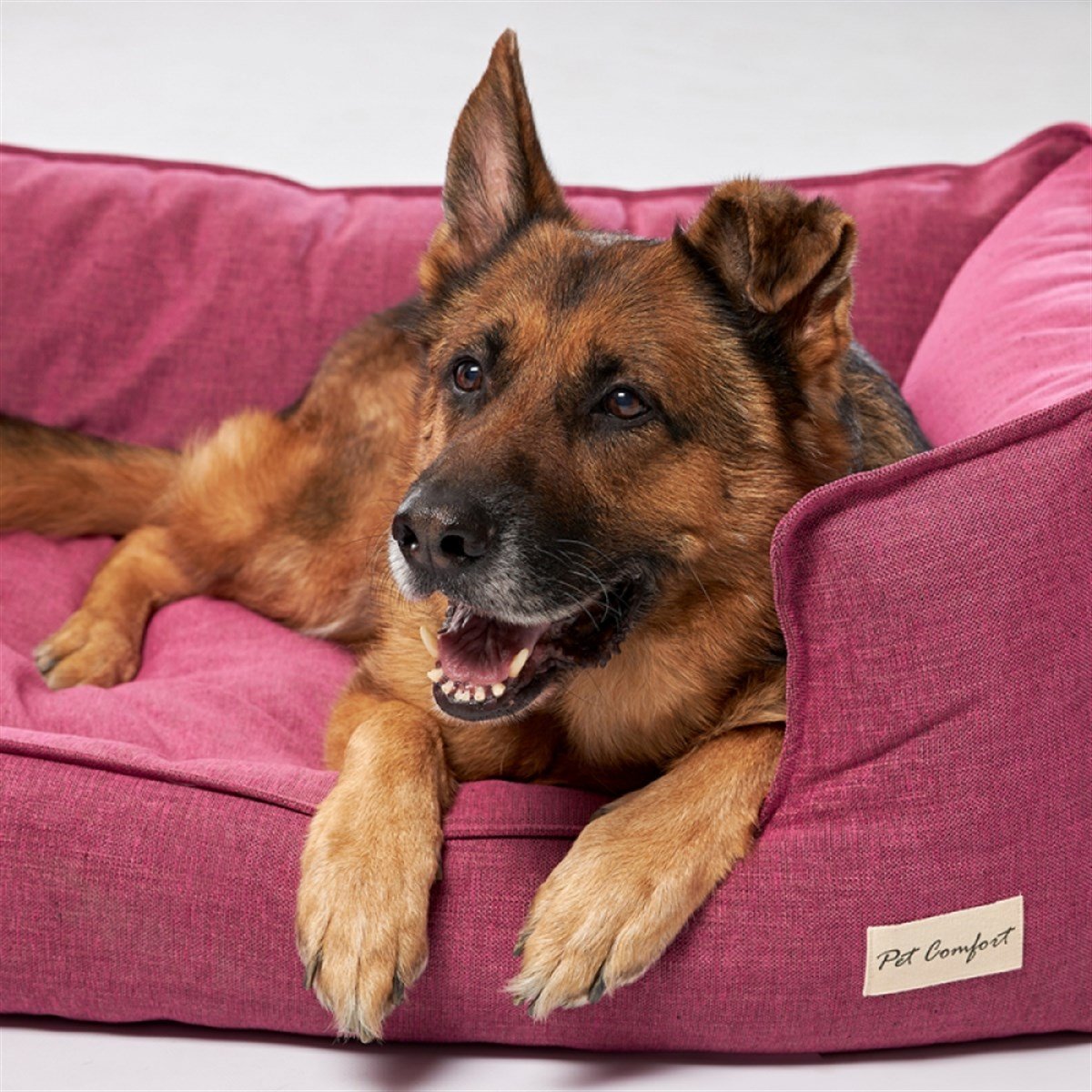 Pet Comfort Alpha Mirandus 33 Köpek Yatağı XL 95x120cm
