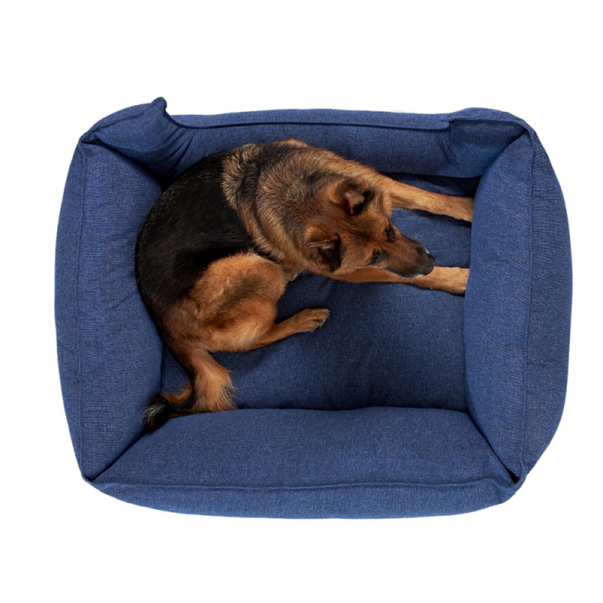 Pet Comfort Alpha Mirandus 38 Köpek Yatağı XL 95x120cm