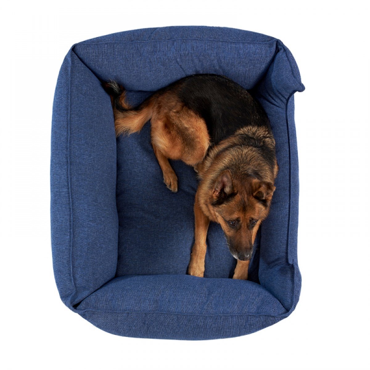 Pet Comfort Alpha Mirandus 38 Köpek Yatağı XL 95x120cm