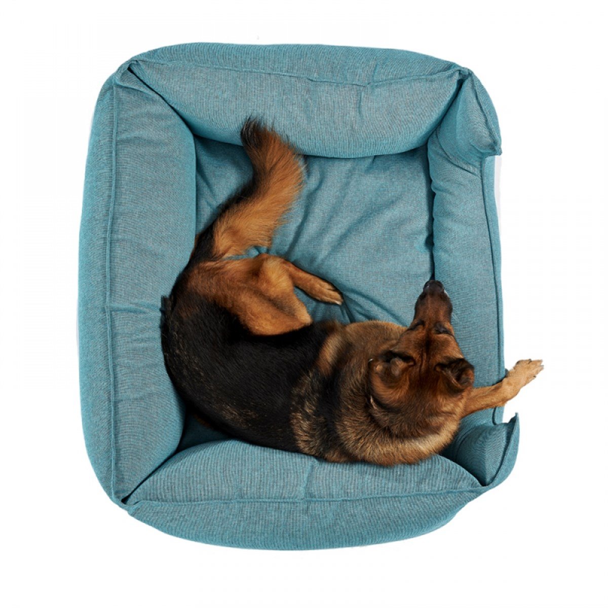 Pet Comfort Alpha Mirandus 43 Köpek Yatağı XL 95x120cm
