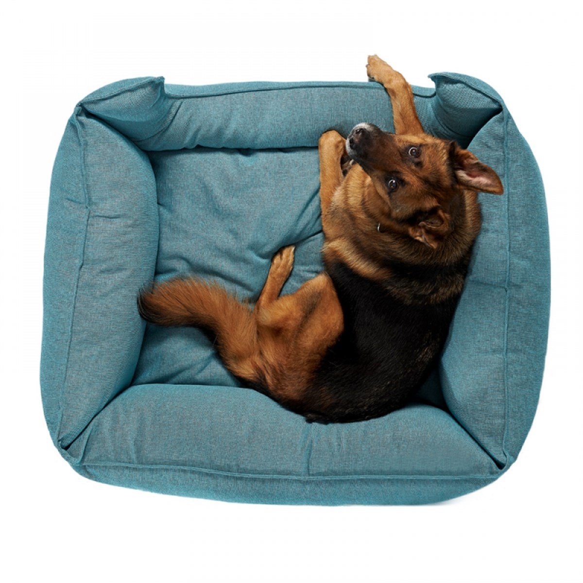 Pet Comfort Alpha Mirandus 43 Köpek Yatağı XL 95x120cm