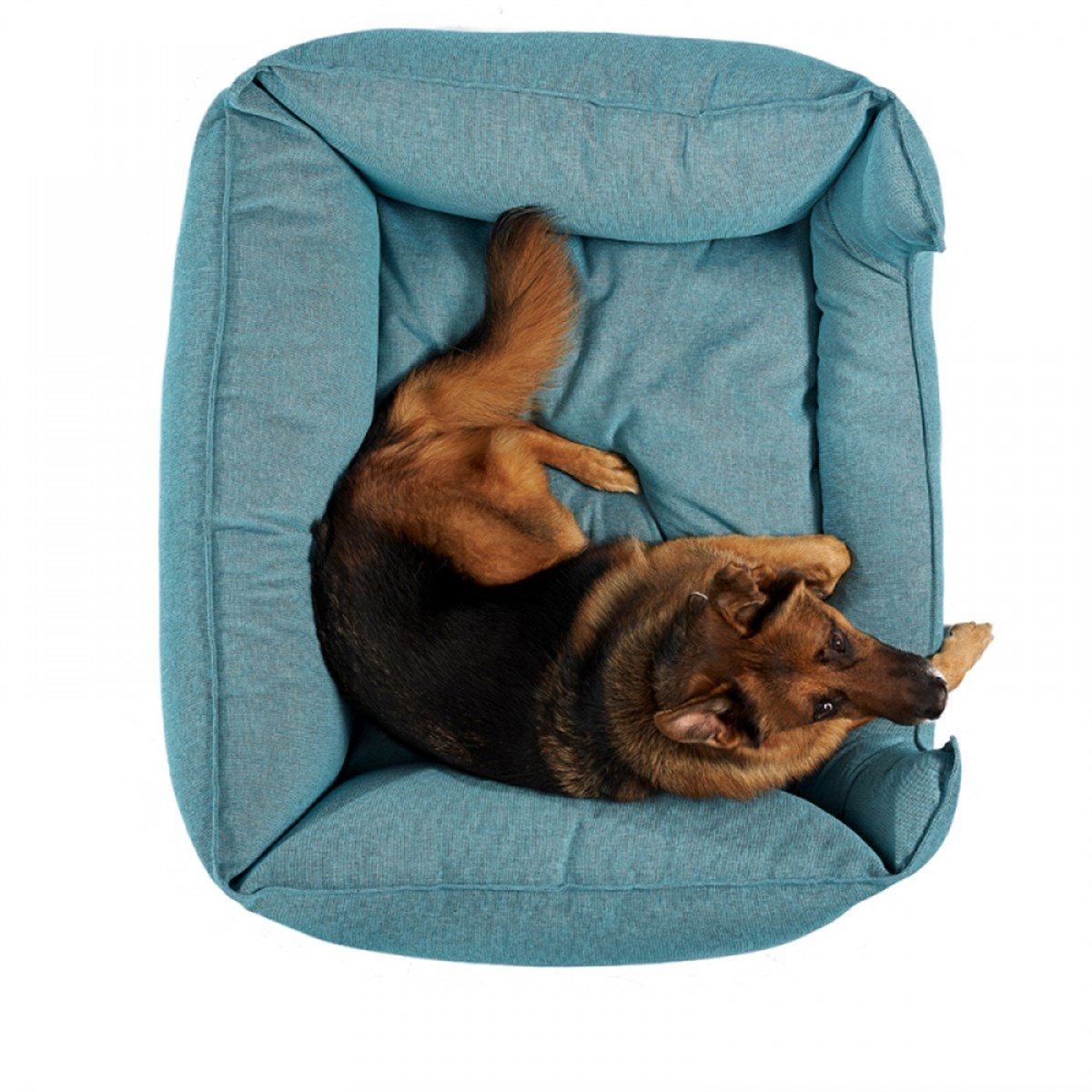 Pet Comfort Alpha Mirandus 43 Köpek Yatağı XL 95x120cm