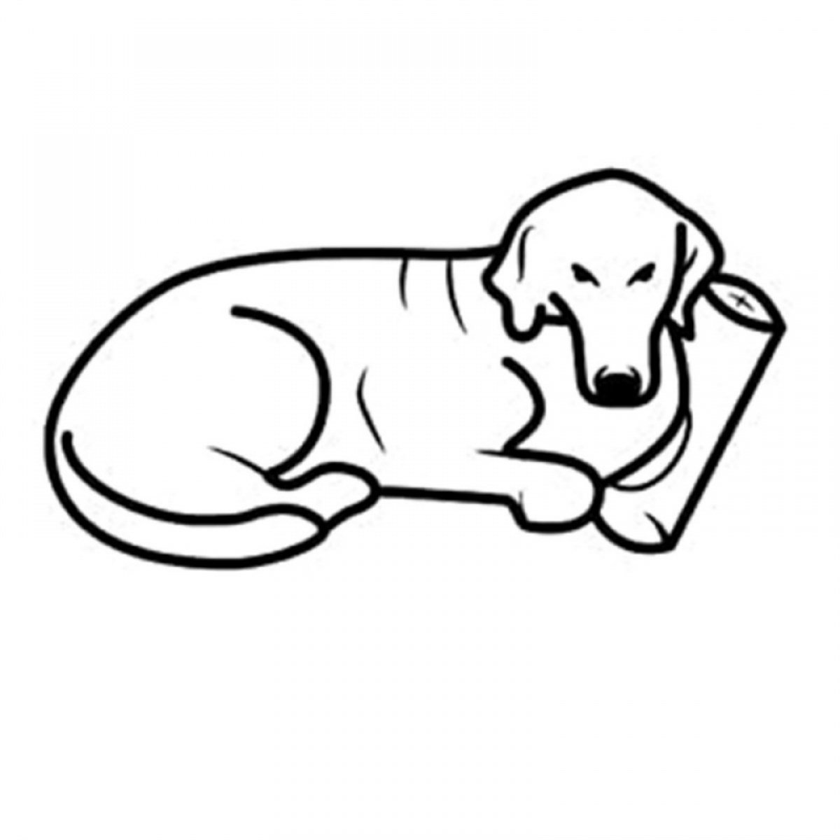 Pet Comfort Echo Mirandus 03 Köpek Yatağı XL 95x120cm