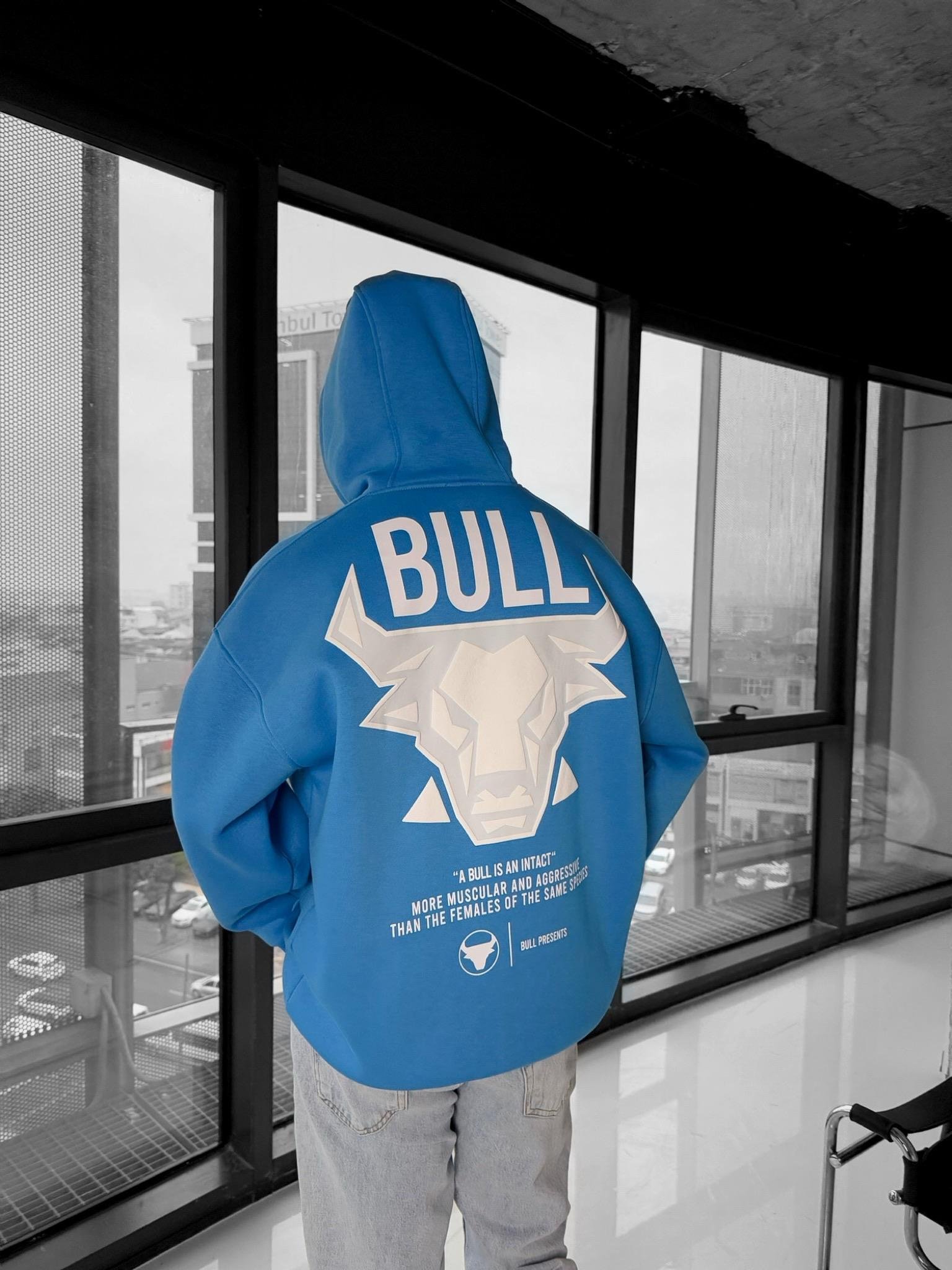 Erkek Bull Baskılı Oversize Hoodie Mavi - Sokak Modası