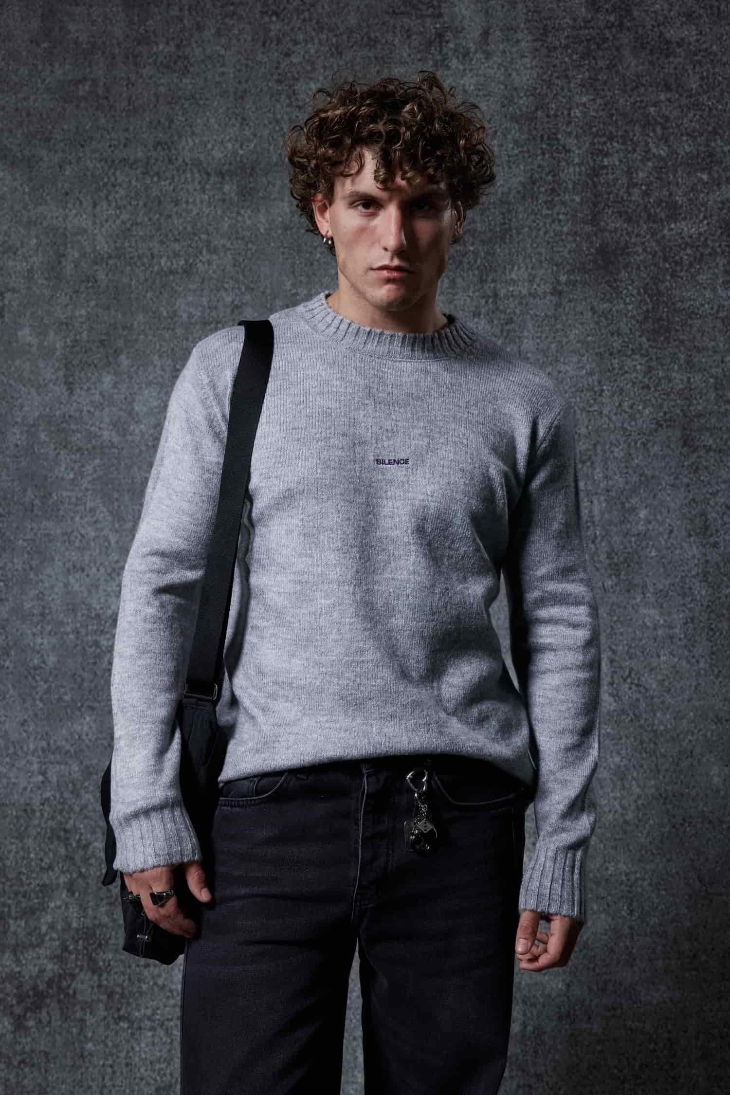 Erkek Regular Fit Bisiklet Yaka Kazak Gri