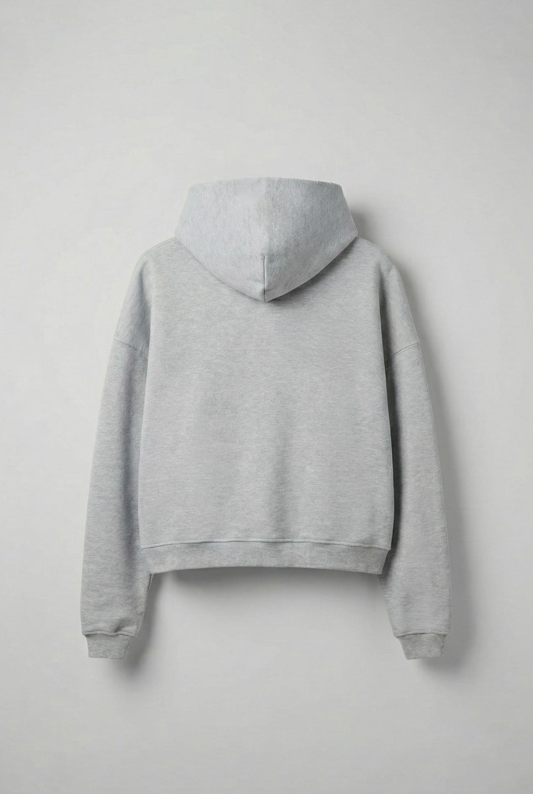 Erkek Yazı Baskılı Gramajlı Urban Hoodie Gri