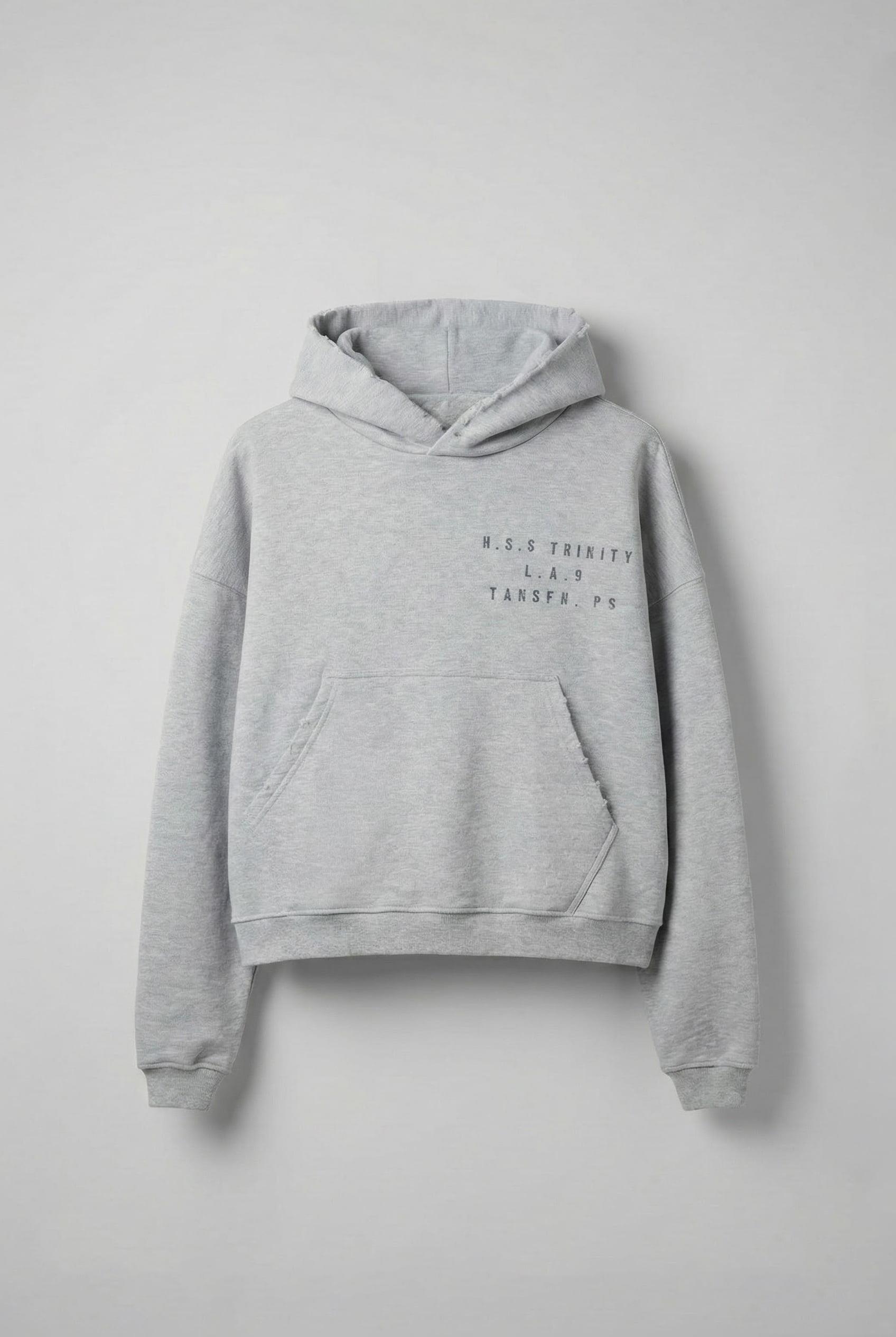 Erkek Yazı Baskılı Gramajlı Urban Hoodie Gri