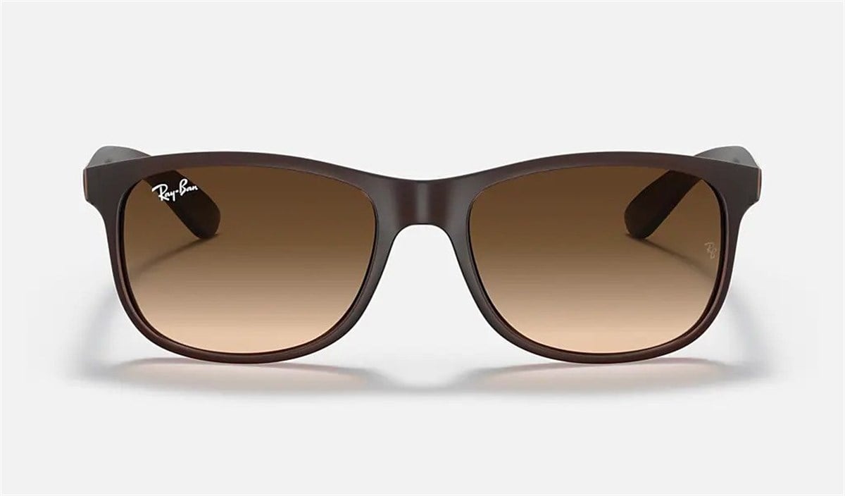 RAYBAN 4202 6073/13 55