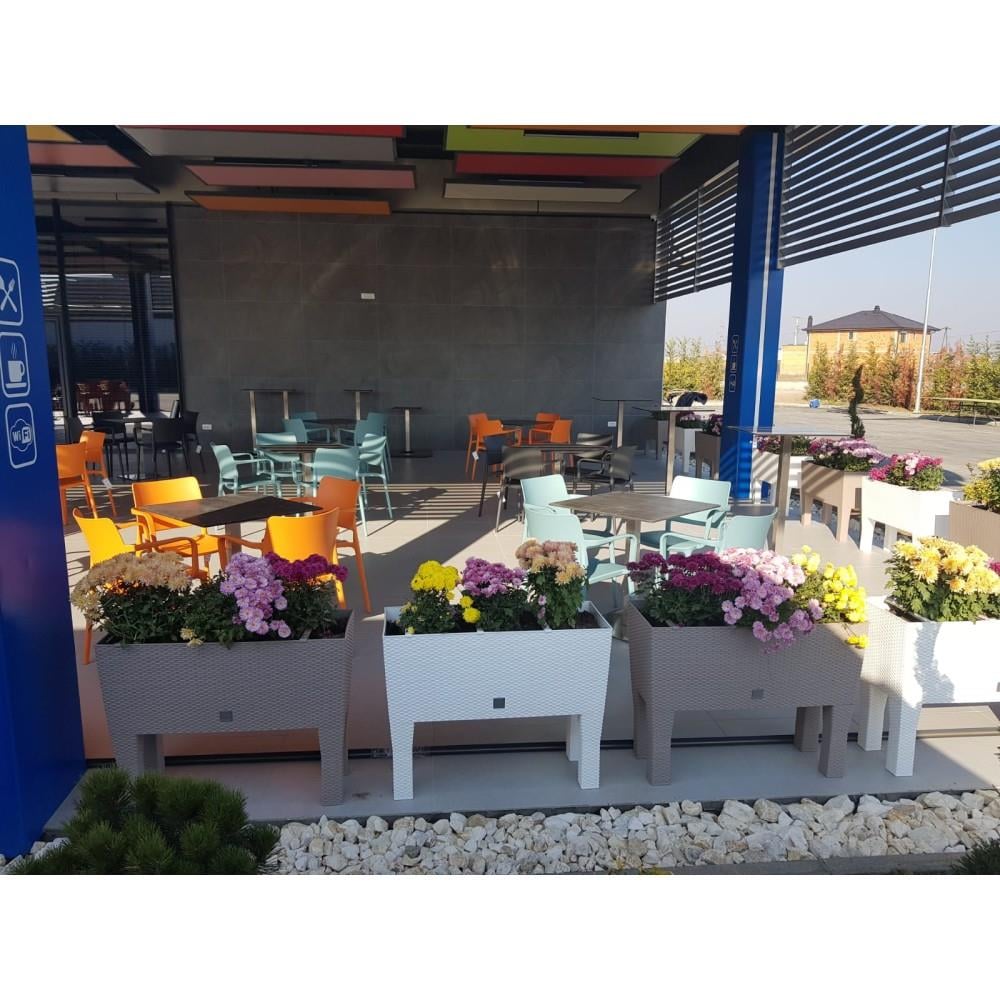 Papatya Joy - S Plastik Sandalye Bahçe, Mutfak, Balkon Sandalyesi