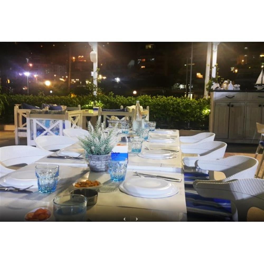 Papatya Luna Stripe Plastik Sandalye Bahçe, Mutfak, Balkon Sandalyesi