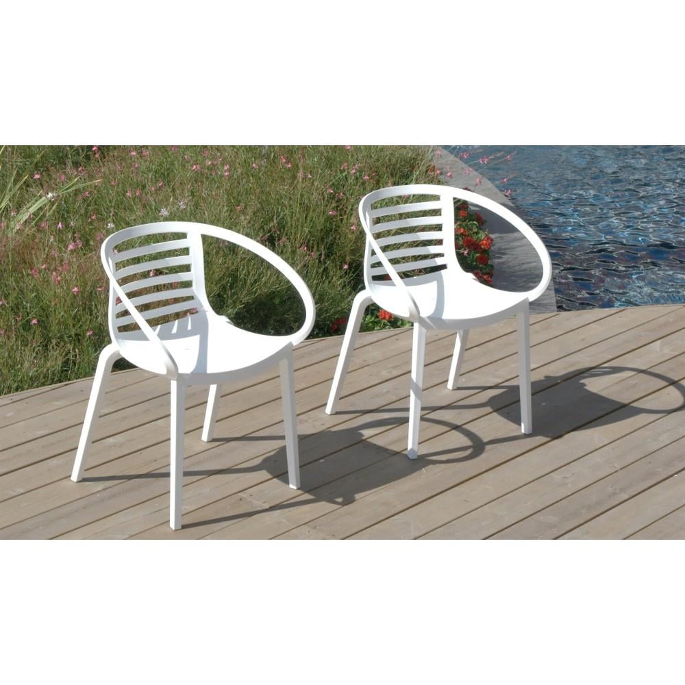Papatya Mambo Plastik Sandalye Bahçe, Mutfak, Balkon Sandalyesi