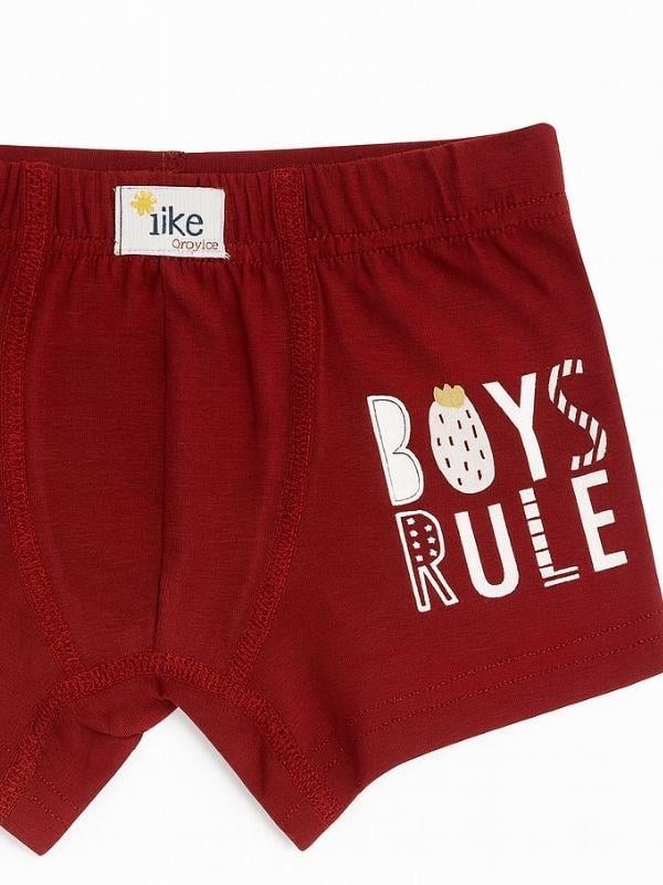 Erkek Çocuk Pamuklu Renkli Desenli Boxer