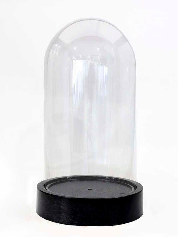 Hediyelik Boş Teraryum Fanus