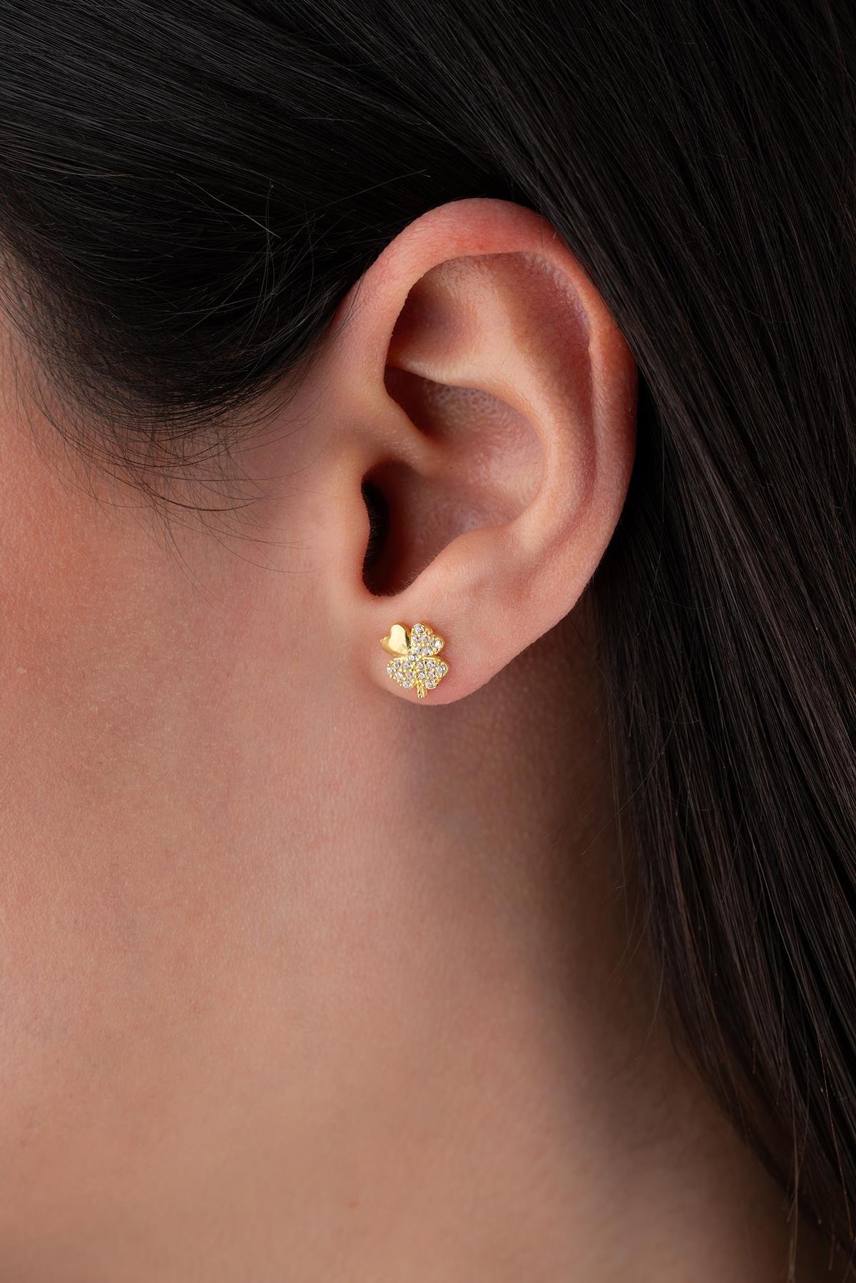 925 Ayar Gümüş Gold Kaplama Zirkon Taşlı 4 Yaprak Yonca Küpe