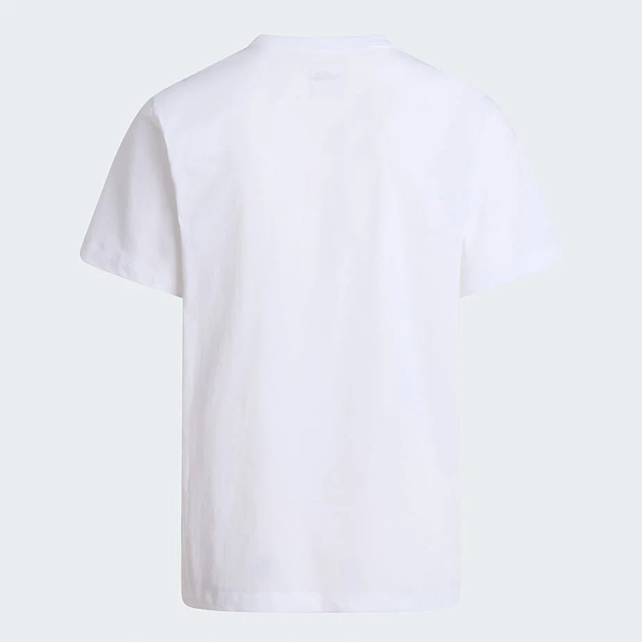 THE NORTH FACE M EVOLUTION SIMPLE DOME REGULAR SHORT SL NF0A8CZ2FN41