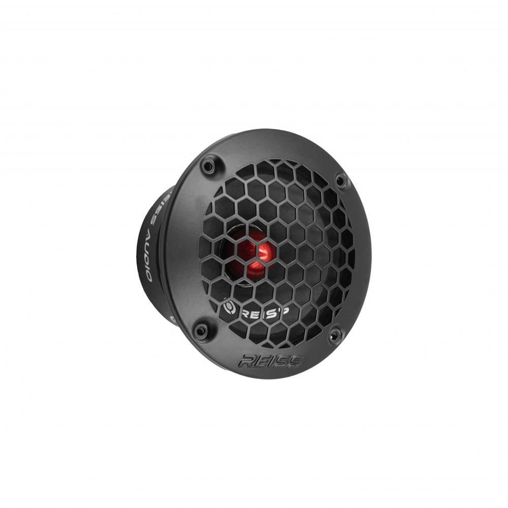 RS-DS5 13 cm Midrange