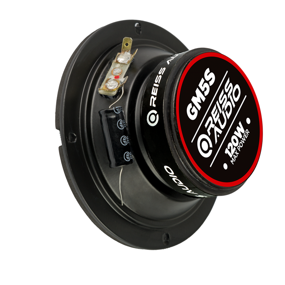 RS-GM5S 13 cm Midrange