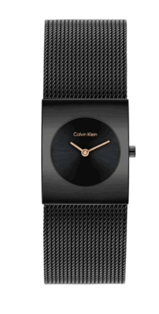 CALVIN KLEIN CK25100138